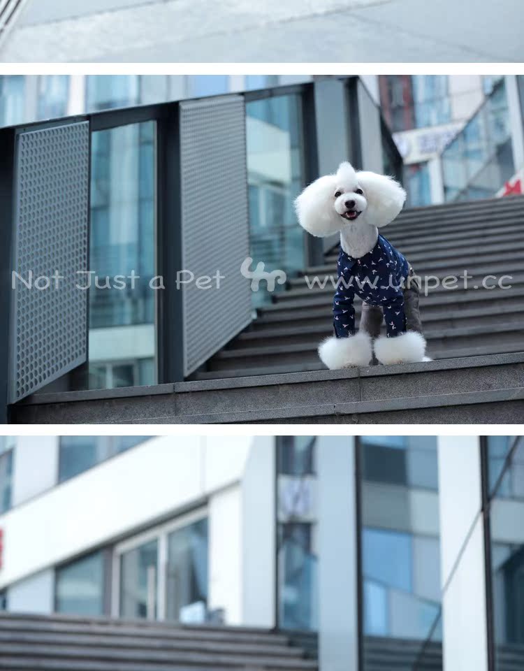 UNPET Breguet Pet Quần áo Teddy Schnauzer Wild England Áo dài tay Bird Cotton Royal Blue Shirt - Quần áo & phụ kiện thú cưng quần áo cho chó con