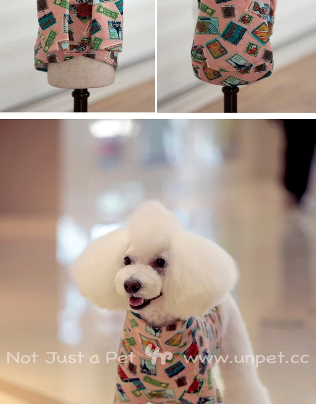 UNPET Breguet Pet Dog Dress Nhật Bản Cổ áo cao cổ áo sơ mi dài tay áo thun tem Doodle mẫu cá tính - Quần áo & phụ kiện thú cưng