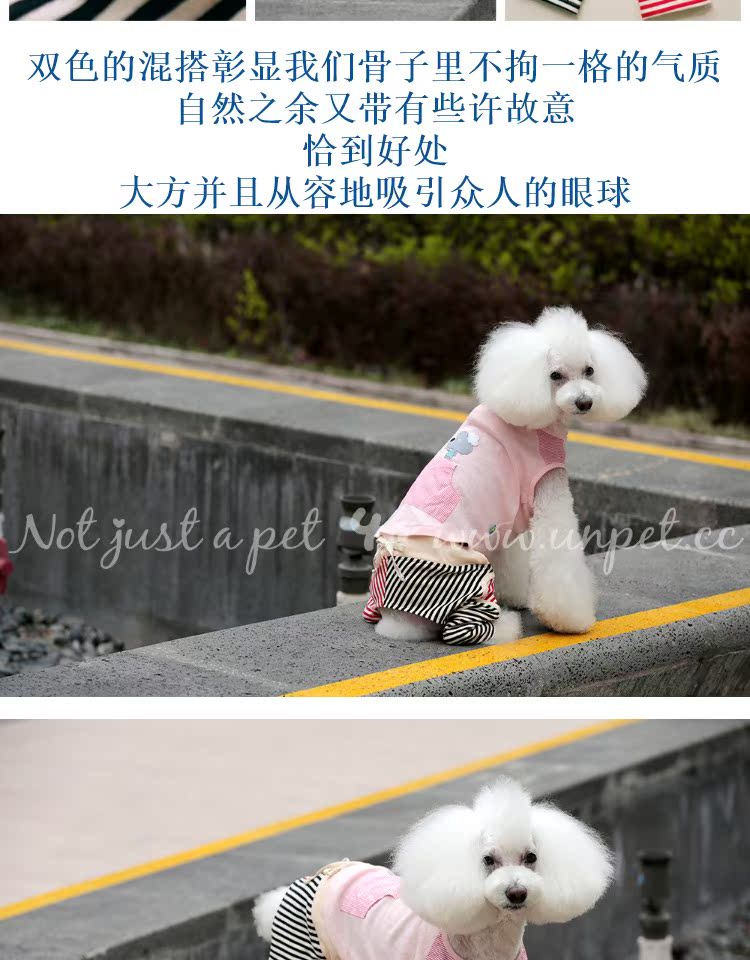 UNPET Breguet Quần áo thú cưng Quần mèo và chó Teddy Quần thể thao Joker Quần sọc hai màu mùa thu Áo len - Quần áo & phụ kiện thú cưng quần áo cho chó con