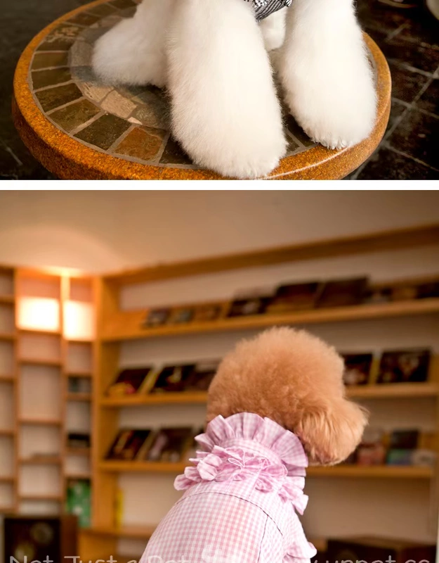 UNPET Breguet Dog Dress Teddy Dress Mùa xuân và mùa thu Kẻ sọc tinh tế Đầm ren Anh - Quần áo & phụ kiện thú cưng