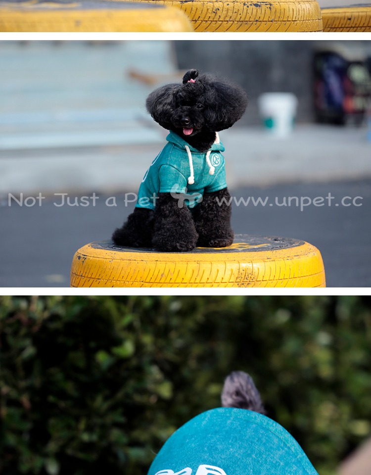 UNPET Breguet Pet Dog Cat Trang phục Biểu tượng phản chiến Teddy Bear Đan áo hoodie hai lớp cộng với áo nhung - Quần áo & phụ kiện thú cưng quần áo cho thú cưng