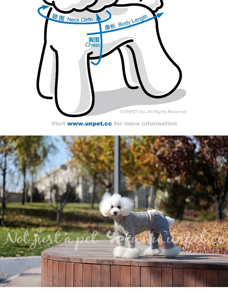 UNPET Breguet Dog Teddy Trang phục Xám Double Jacquard Base áo ba lỗ trắng hồng cao cổ áo dài - Quần áo & phụ kiện thú cưng nón bảo hiểm cho mèo
