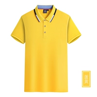 2108 Яичный желток