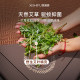 Master Xi's 2026 New Model Summer Mat, Double-Sided Rattan Mat for Winter and Summer, Foldable Ice Silk Mat, Thickened Straw Mat