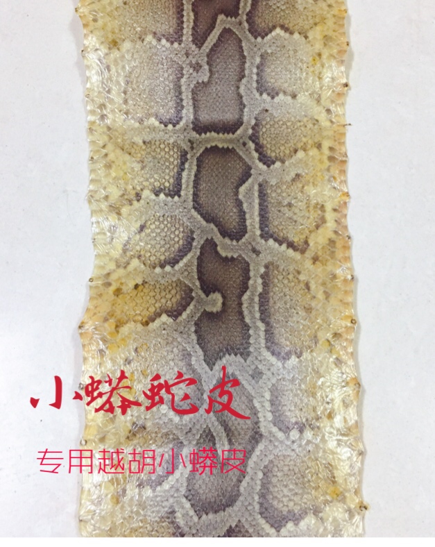 Lerhynchart specializes in the beanking python with a small python skin.