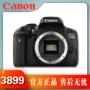 Máy ảnh DSLR kỹ thuật số nhập cảnh cơ thể Canon / Canon EOS 750D độc lập - SLR kỹ thuật số chuyên nghiệp giá máy ảnh