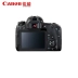 Máy ảnh DSLR Canon / Canon EOS 77D độc lập - SLR kỹ thuật số chuyên nghiệp