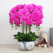 Phalaenopsis artificial flower set with flowerpots fake flowers fake flowers living room coffee table front decoration furnishings