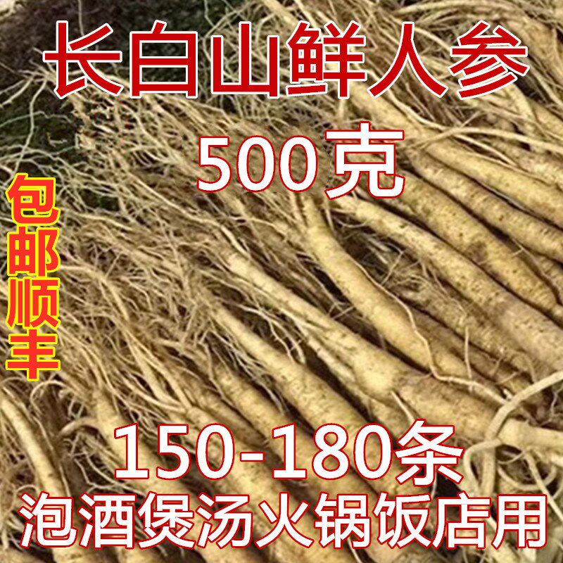 Northeast Changbai Mountain fresh with soil small ginseng 500g mountain insurance fresh bubble wine pot soup stew chicken specialty hotel ginseng