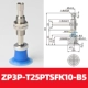 ZP3P-T25PTSFK10-B5-A10