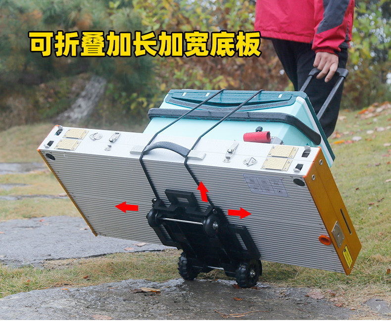 Watch Sea Fishing Laggy Fishing Bucket Fold small cart Fishing Gear Lacargo Home Cart Porter for Rover truck Fish protective case