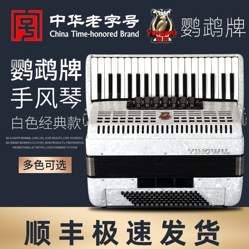 Parrot YINGWU Accordion 60 96 120 Bass Three or Four Row Reed Accordion Beginner Examination Performance