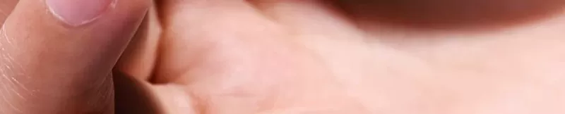 Kung Fu trà nhà mới men ngọc đơn giản tách trà gốm trà bìa bát ấm trà bộ trà quà tặng bộ bình trà 0.8 l camellia