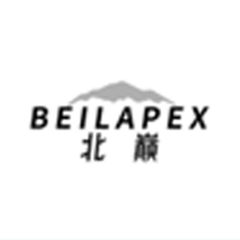 北巅羽绒服的LOGO