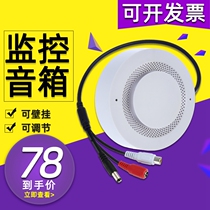  Hikvision Dahua surveillance video recorder output special active speaker intercom speaker audio AV head