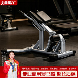 Commercial Roman Chair Goat Stand-Up Exercise Machine Home Fitness Equipment Fitness Chair Back Muscle Exercise Training Core
