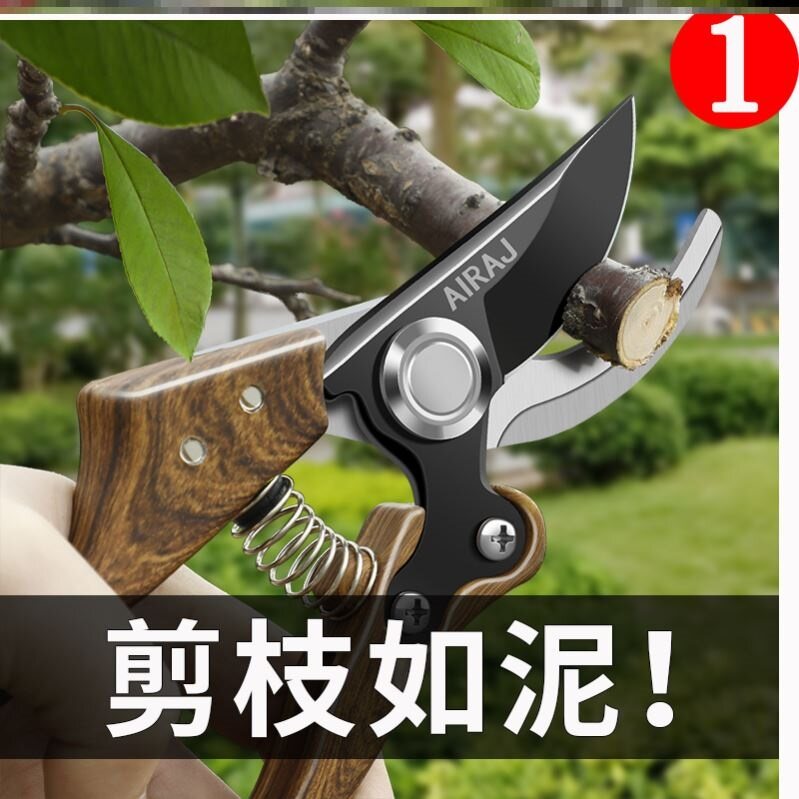 German pruning shears fruit tree pruning shears gardening garden pruning tree scissors flower shears flower art branch shears special tools