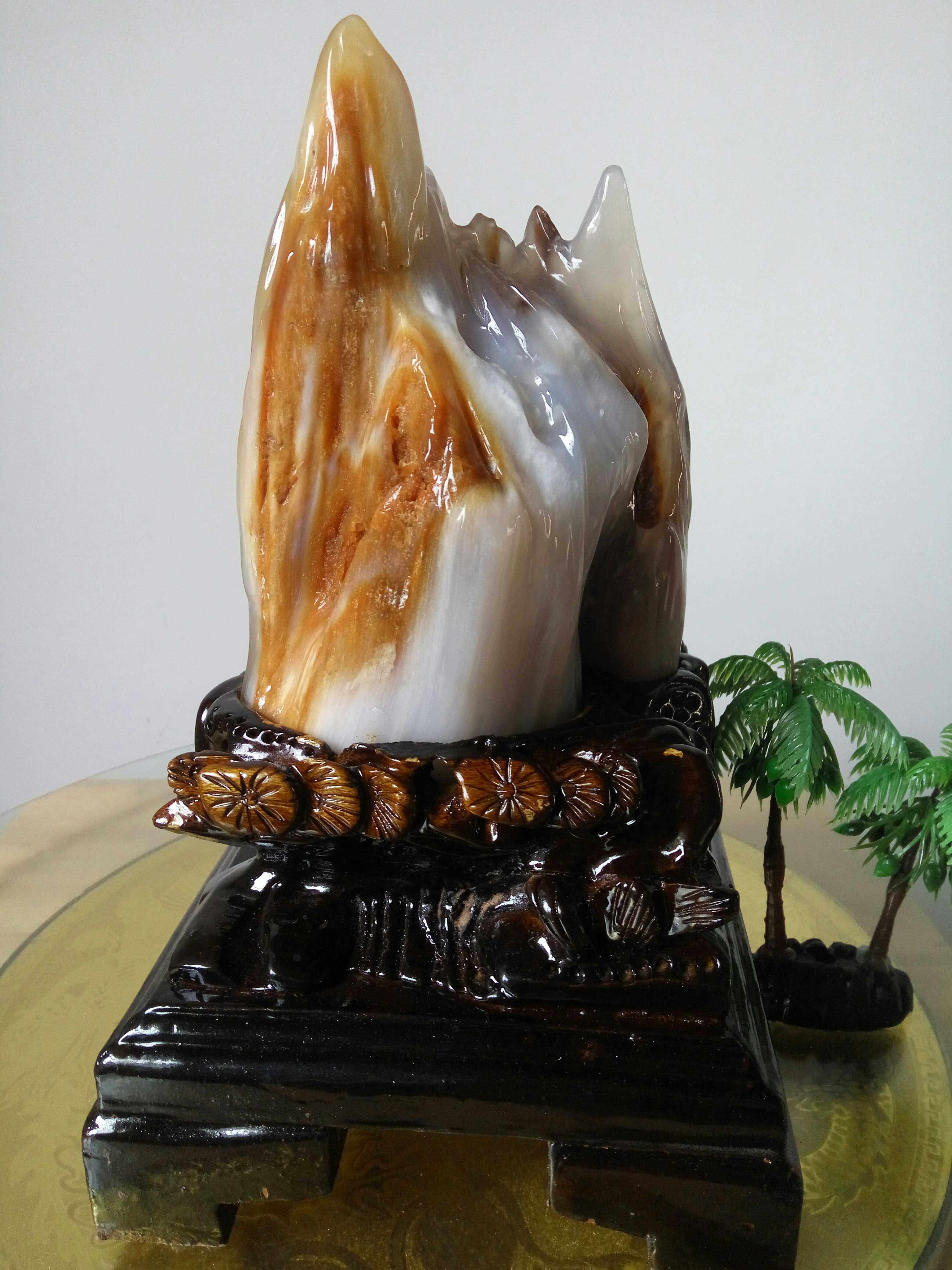 Shiyuanfang tree-based jade rough stone ornament Silicified wood wood fossil ornament collection gift gift good tree-based jade