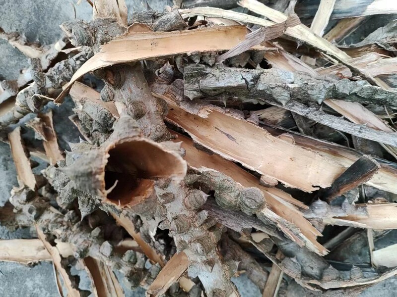 Chinese Medicinal Materials, Tree Thorns, Clouds, Tree Thorns, Tree Thorns, Maple Trees, Buckthorns, Drum Nail Trees, Various Styles