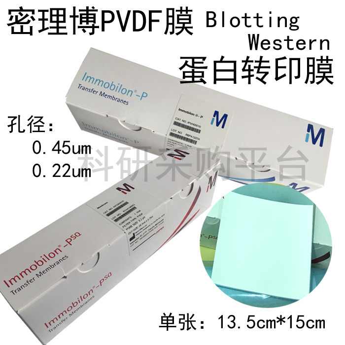 Promotional WB transfer membrane milliporePVDF Western0 22u Millipore ISEQ00010