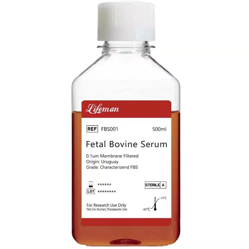 优级胎牛血清 lifeman 货号FBS001 500ml 现货包邮