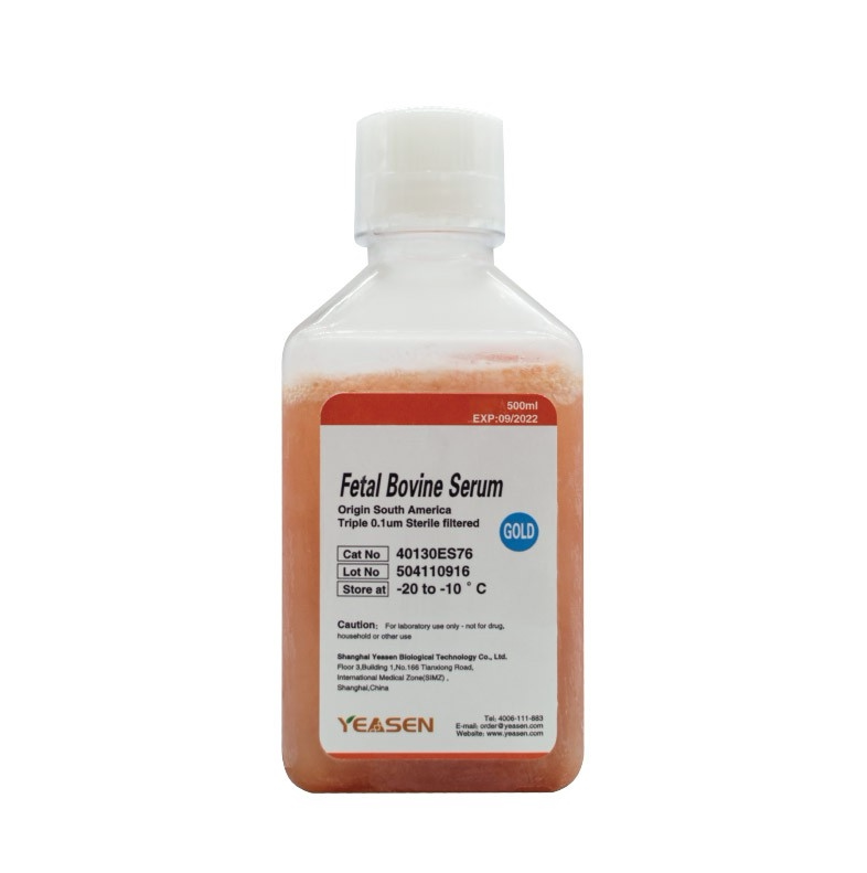 Fetal Bovine Serum Gold 胎牛血清(特级) YEASEN 货号40130ES76