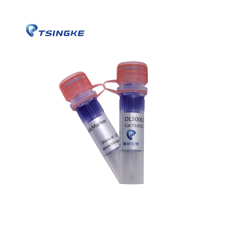 DL5000 DNA Marker 货号TSJ012-500 擎科生物