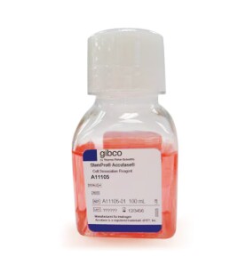 accutase(干细胞消化液）货号A1110501