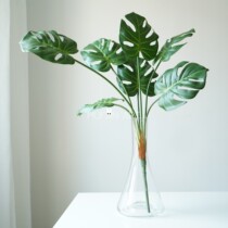 Nordic fresh feel 7 head bundle simulation turtle back Leaf home decoration simulation plant flower arrangement floral material