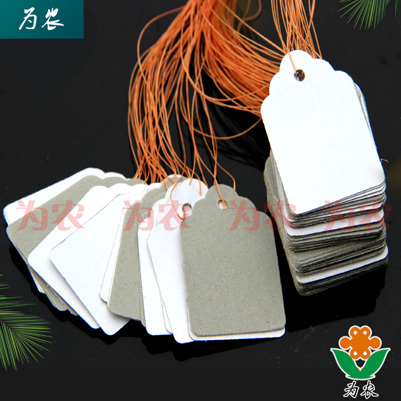 (Paper Label Listing) Gardening Listing Flower Listing PVC Listing Paper Hanging Listing