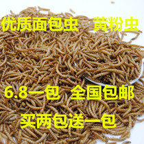Bread worm dried yellow mealworm dried hamster granary rat supplies Hamster snacks Fish food Fish material Turtle food Bird food 50g