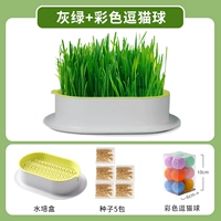 Серо -зеленый без земной гидропоны [дайте 5 пакетов семян]+игрушечный шарик