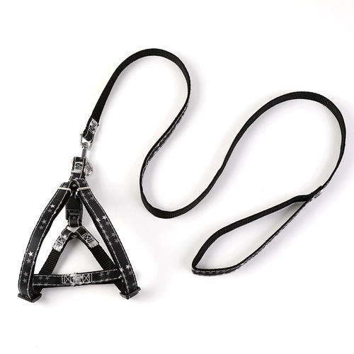 哒哒熊 Дроянка собаки, собачья веревка для собак.