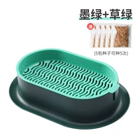 Нет земной точки чернила зеленые [дайте 5 пакетов семян]