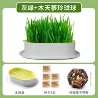 Серо -зеленый без земли Hydroponic [дайте 5 пакетов семян]+mu tianyu linglong (Bell Ball)