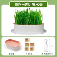 Гидравлический синий порошок Земли+распыляющий чайник [5 упаковок семян]