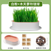 Нет гидравлического белого порошка почвы.