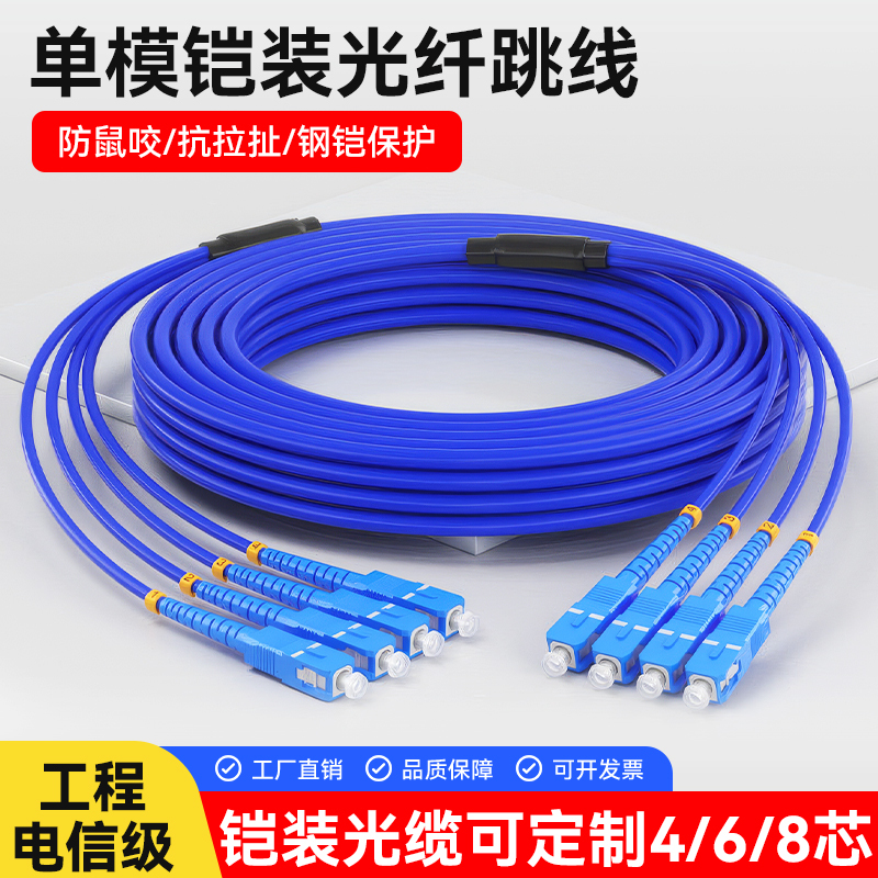 Engineering Armored Fiber Optic Patch Cord Scsc-Lc/Fc/St Single-Mode Four 6/8 Core Rodent-Proof Finished Optical Cable Pigtail Patch Cord