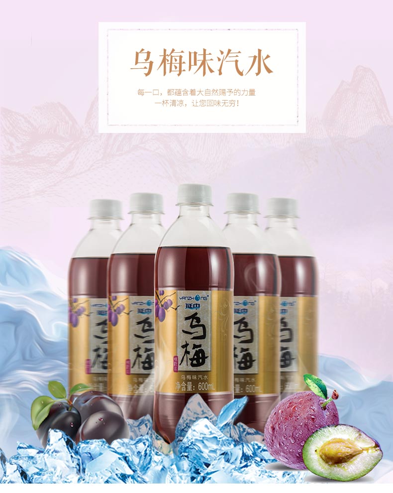 上海名牌 延中 乌梅味汽水 600ml*20瓶整箱 天猫优惠券折后¥41包邮(¥46-5) 上海名牌 延中 乌梅味汽水 600ml*20瓶整箱 天猫优惠券折后¥41包邮(¥46-5)