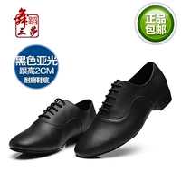 237 Современные матовые волосы в нижней комнате