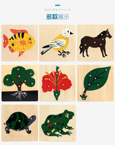 Montessori teaching aids Animal and plant panels Flowers birds trees and fish puzzles Kindergarten baby early education childrens educational toys
