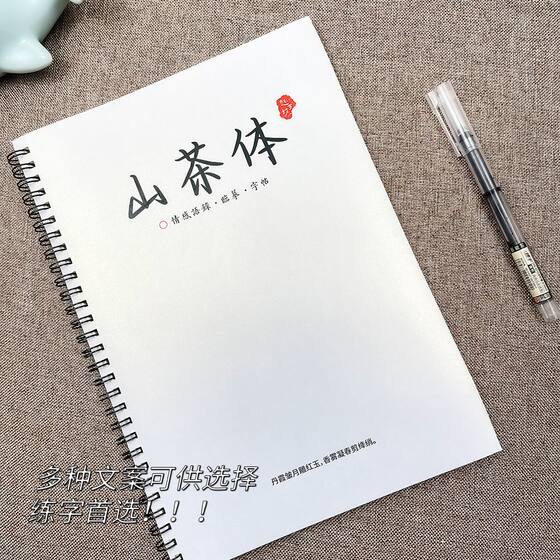 Calligraphy Practice Book for High School Students: Writing Materials, Quotes from People's Daily, and Copybook for Practicing Golden Phrases and Text Samples