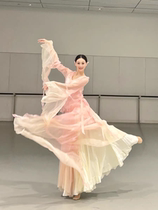 Beautiful classical dance gauze elegant and fairy-like dance costume Chinese dance chiffon practice suit performance costume top and skirt