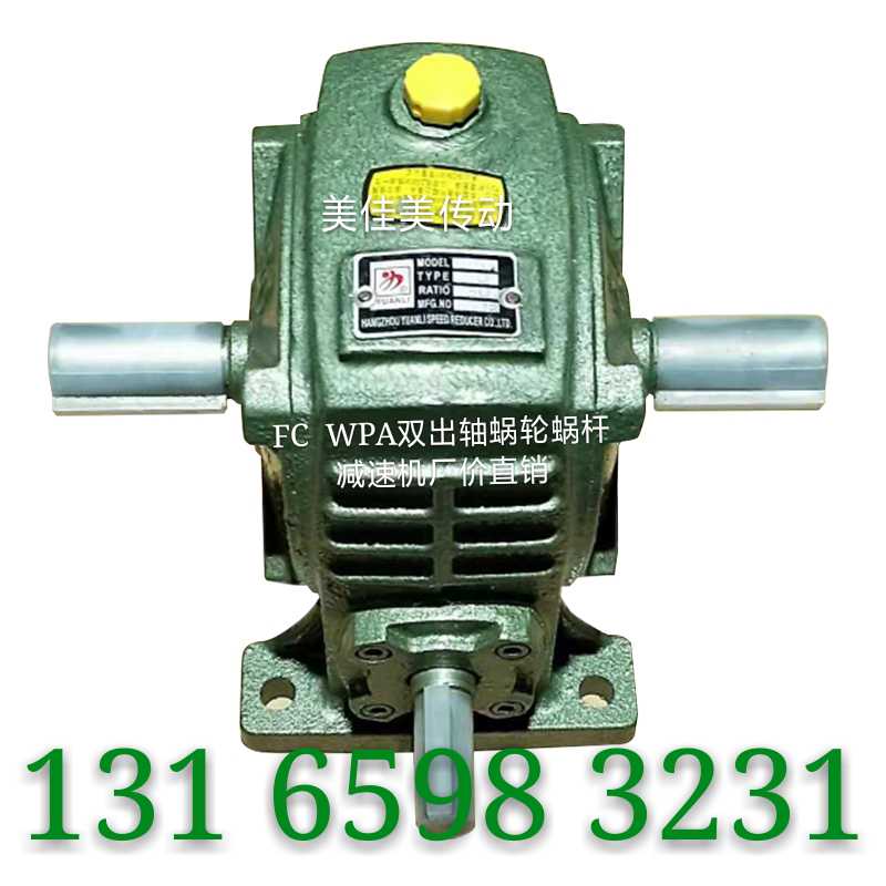 FC WPA WPS50 60 70 80 100 120# Double Out Double Entry Worm Gear Reducer Factory Price Direct Sale