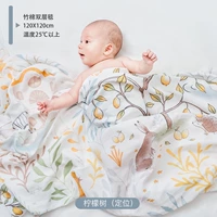 Модель положения лимонного дерева (высокая нагота 60-х годов)