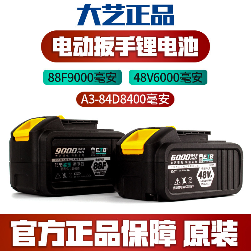 Dayi electric starter battery 48V88F2101 2103 2106 6802 169 charger original accessories