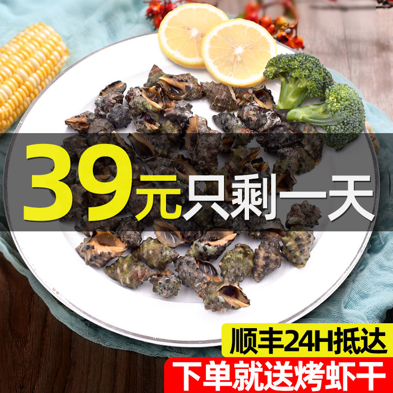 Zhoushan Fresh Spicy Snail 500g Ningbo Teryield Living Snail Seafood Aquatic Bitter Snail with shell Shellfish Snail Sauce