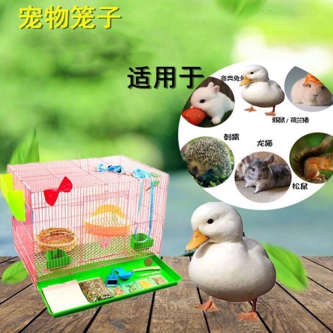 Breeding rabbit assorted full set of small chicken bunnies convenient base cage pet cage pet rabbit cage cub indoor duckling