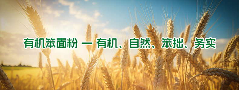 安享好物 安享A级小麦面粉-豫娃娃有机黑全麦粉 企标 