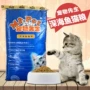 Ông Pet nuôi cá biển sâu dinh dưỡng vào thức ăn cho mèo - Gói Singular royal canin medium puppy